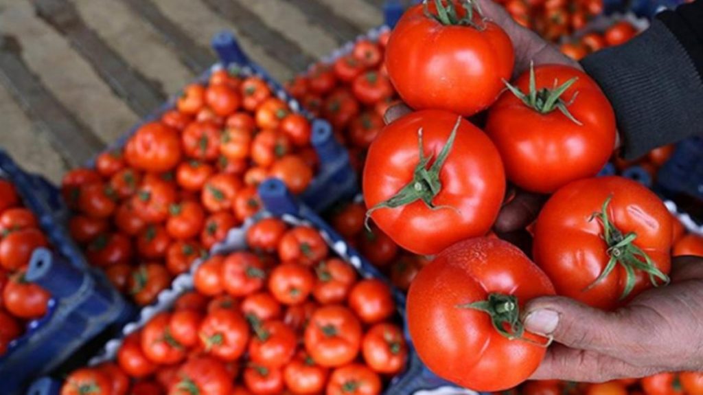 Rusya domatesi ihraç edemedi, semt pazarlarında fiyat 10 TL’ye düştü