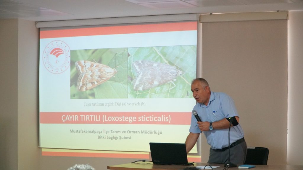 Mustafakemalpaşa’da dronlar çayır tırtılları için yükselecek