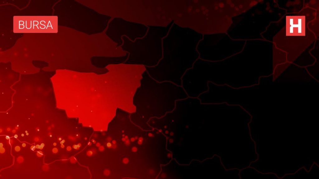 Bursa’da direğe çarpan otomobildeki 2 kişi yaralandı